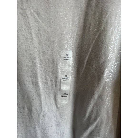 a.n.a. Long Sleeve Grey Crewneck with Silver Sparkling Flakes Size 1X - Picture 2 of 11